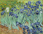 IrisesGetty.jpg